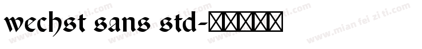 wechst sans std字体转换